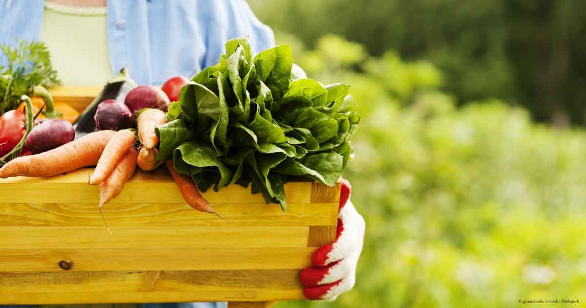 Busting The Organic Food Myth, Organic Food, Fitness Tips, Fitness Advice, Fitnessmotivation, Motivation, Fitpeople, Fitnesslovers