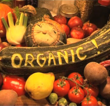organic Busting The Organic Food Myth