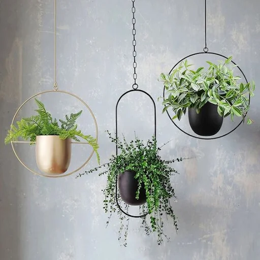 plants Four Tips To Add That Quirky Essence To Your Home This Summer