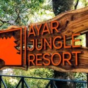 ayar jungle resort,ayar jungle resort nainital,jungle resort,jungle,jungle resort nainital,ayar jungle resort treehouse,ayar jungle resort - nainital - india,ayar jungle resort - nainital - india offer,ayar jungle resort - nainital - india video,ayar jungle resort - nainital - india rooms,ayar jungle resort - nainital - india deals,ayar jungle resort - nainital - india reviews,ayar jungle resort - nainital - india amenities