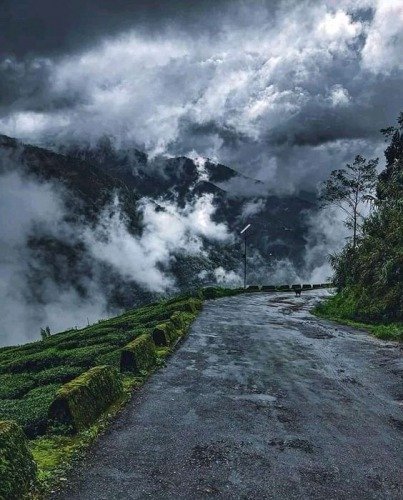 Gangtok, Pelling, Kanchenjunga national Park, Tsomgo Lake,Nathu La Pass, Lachung, Namchi, Teesta River, Travel Vlogs, Travel Blogger India, Travel Blogs India Best Travel Blogs India, Travel Destinations, Traveling in India, Stylerug, Stylerug Vlogs, Stylerug Videos