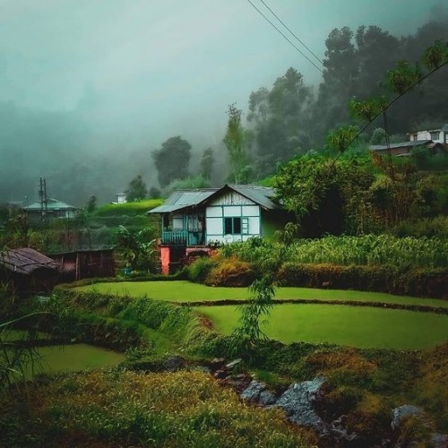 gangtok Explore Sikkim: A Hidden Gem Of North-East India
