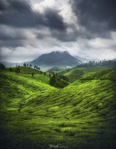 munnar Kerala - The Land Of Shree Parashurama