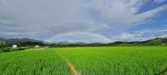 cham Mizoram - The Song Bird of India