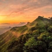 reiek tang Mizoram - The Song Bird of India