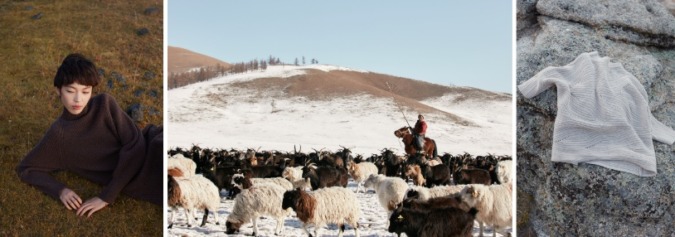 23 GOBI Cashmere: The Mongolian Difference