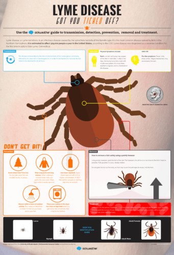 lyme disease,lyme disease treatment,lyme disease symptoms,what is lyme disease,disease,lyme disease test,lyme disease ticks,chronic lyme disease,lyme disease research,lyme,lyme disease cure,lyme disease story,lymes disease,lyme disease testing,lyme disease diagnosis,lyme disease (disease or medical condition),lyme disease documentary,lyme disease symptoms in human,chronic lyme disease symptoms,late stage lyme disease symptoms