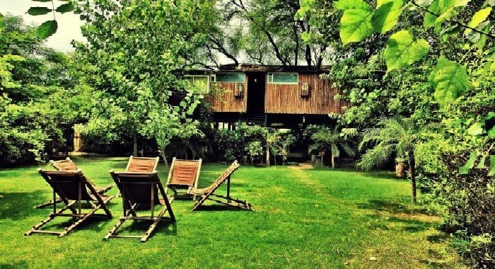 tree house,tree house in india,tree houses in india,best tree house in india,best tree house,vacation homes in india,tree house resort in india,crazy xyz tree house,india,tree house living in india,top 10 tree house resort in india,india tree house,tree house india,house,living 24 hours in tree house,5 star tree house,tree house hotel,luxury tree house,house on a tree,best experiments in india,indias no one tree house