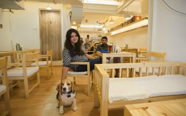 pet friendly restaurants, pet owners, pet-friendly restaurants near me, pet-friendly cafes in delhi, per-friendly cafe, pet-friendly hotels